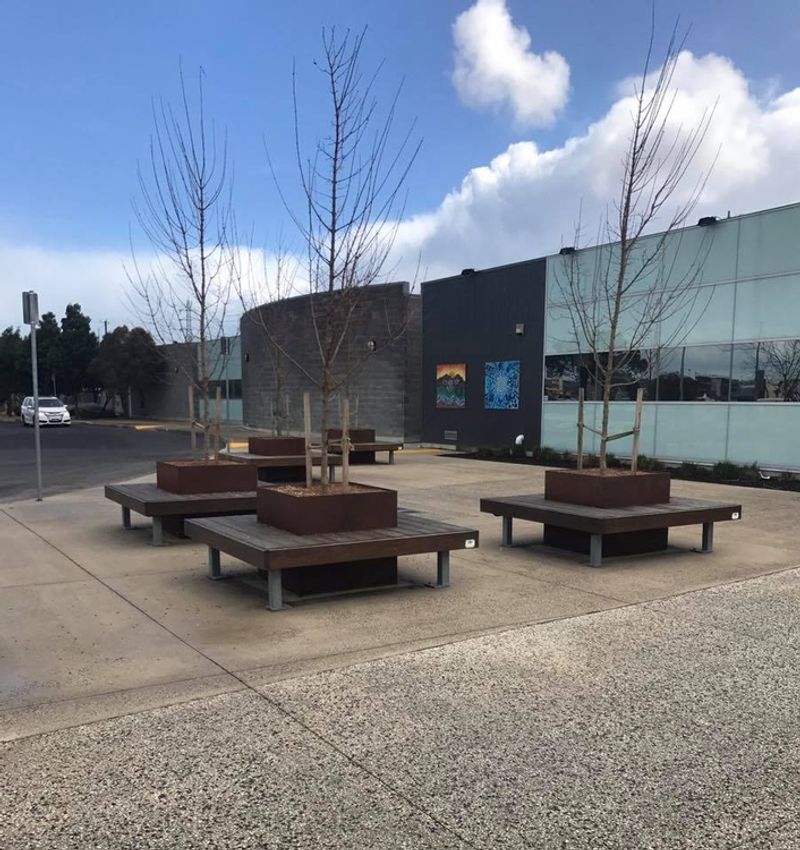 Pool Benches 