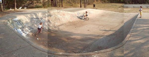 Priestdale Bowl