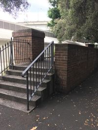 Pyrmont Black Rail