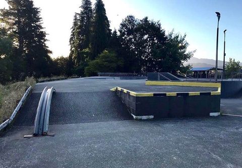 Reefton  Skatepark photo 4