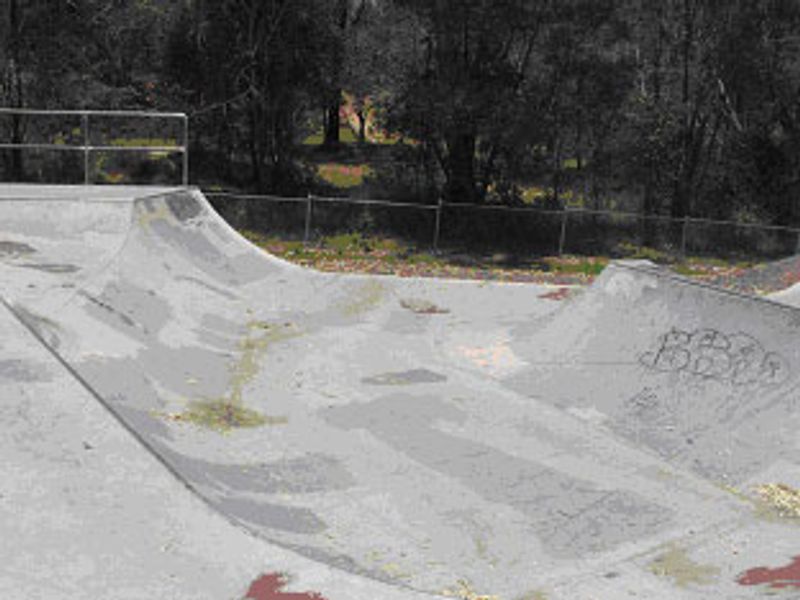 Regency Downs Skatepark