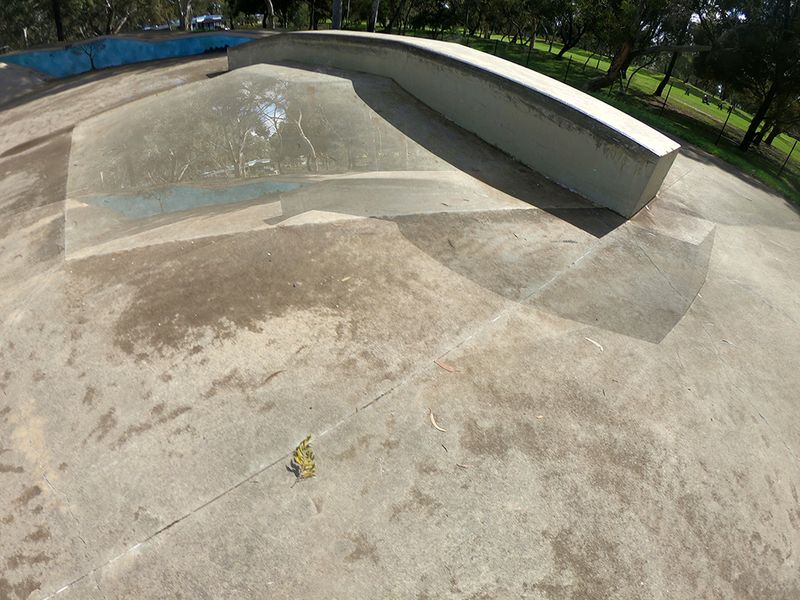 Regency Park Skate Park