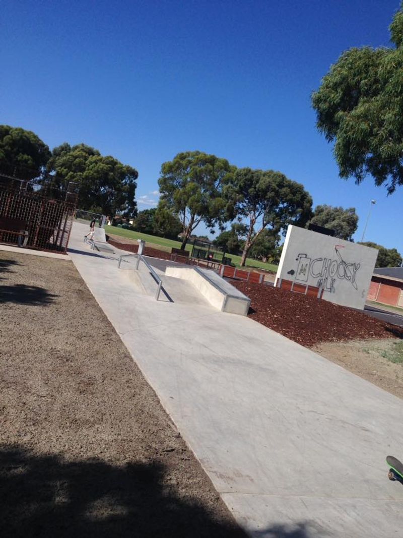 Reservoir Mini Ramp
