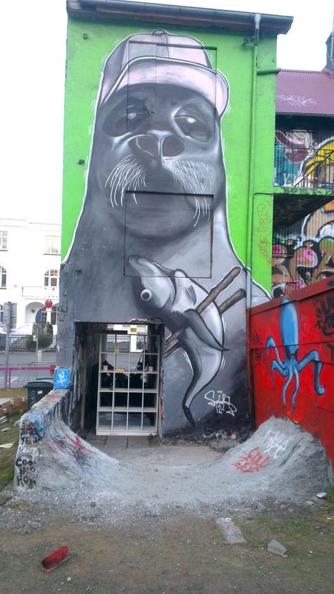 Reykjavik DIY photo 3