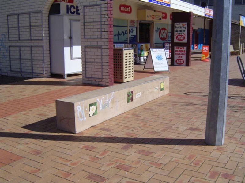 Rivett Shop Ledges