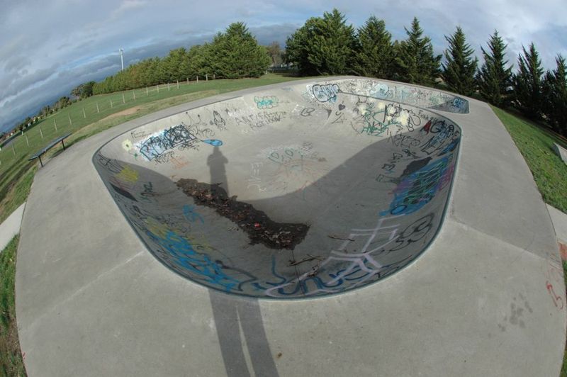 Riddles Creek Bowl 