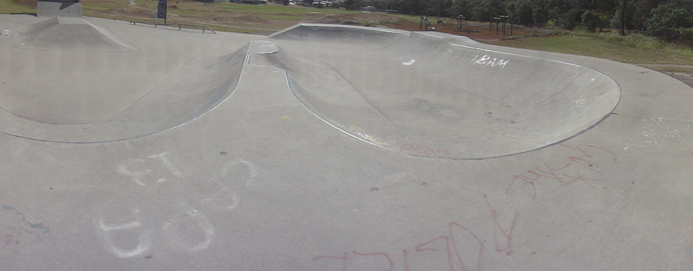Risdonvale Skate Park
