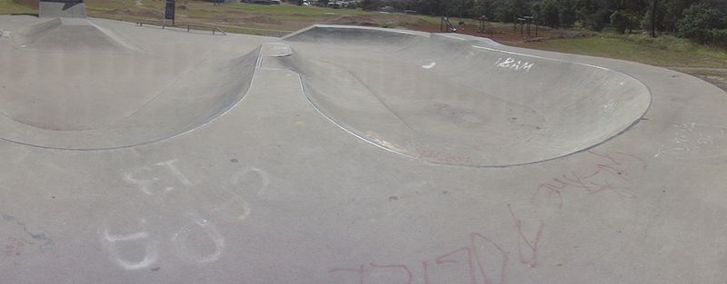Risdonvale Skate Park