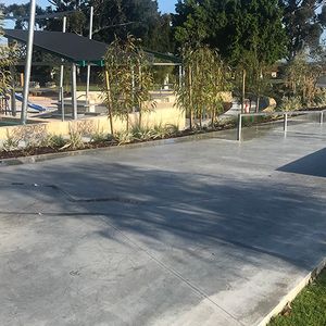 Robinson Reserve Skate Pa