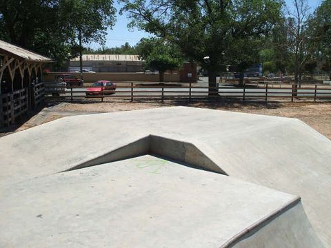 Rochester Skatepark photo 6