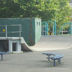Rock Terrace Mini Ramp