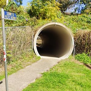 Lindfield Pipe