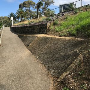 Rough Bank 