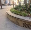 Bent Ledge