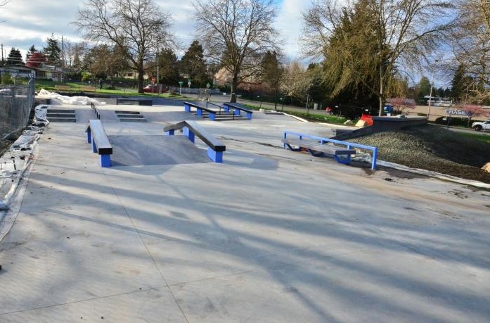 Roxhill Skatepark