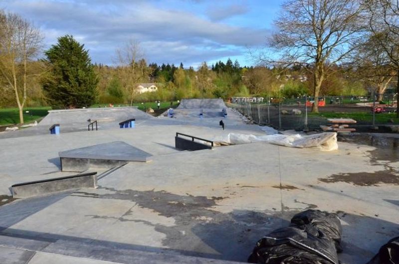 Roxhill Skatepark