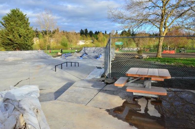 Roxhill Skatepark