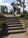 Secret Garden Steeps