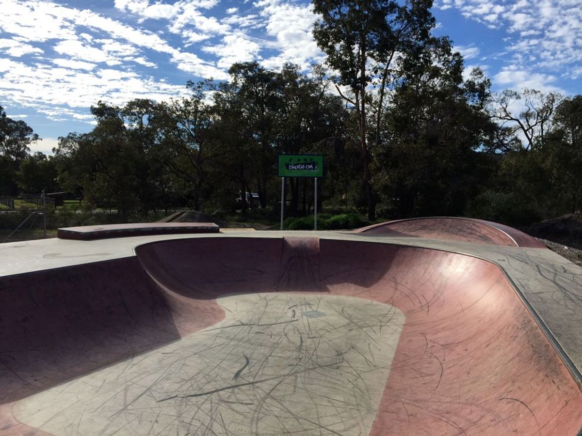 Serpentine Bowl skatepark