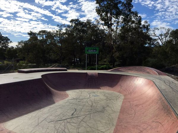 Serpentine Bowl