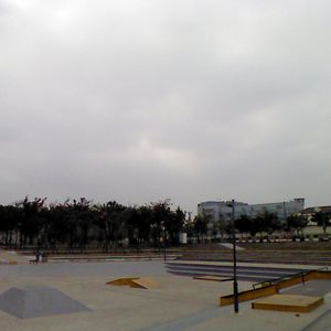 Middle Longhua Road Skate