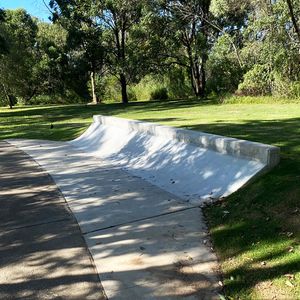 Shaw Park Curb Thing