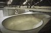 Soggy Bones Skatepark