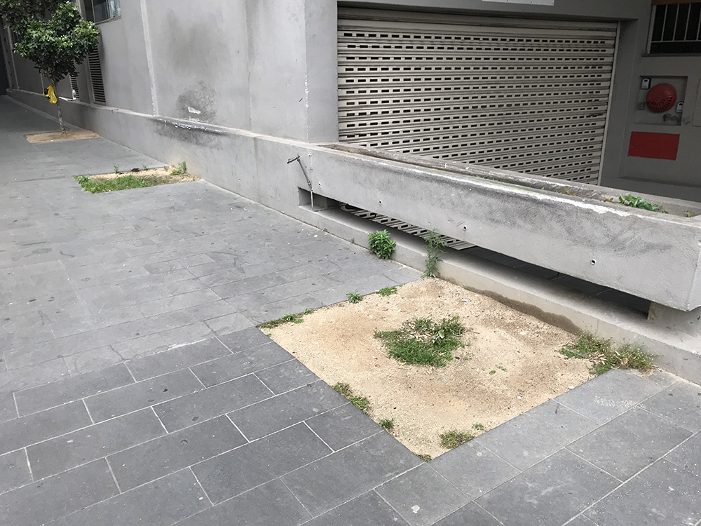 Parliament Garden Ledge 