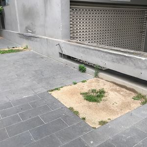 Parliament Garden Ledge 