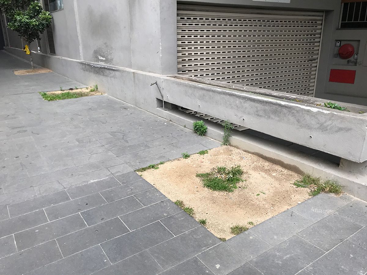 Parliament Garden Ledge skate spot