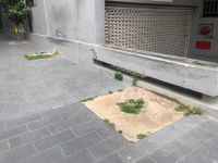 Parliament Garden Ledge
