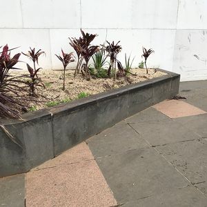 Parliament Station Ledge 