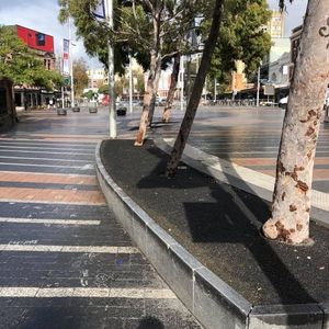 Taylor Square