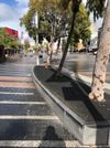 Taylor Square