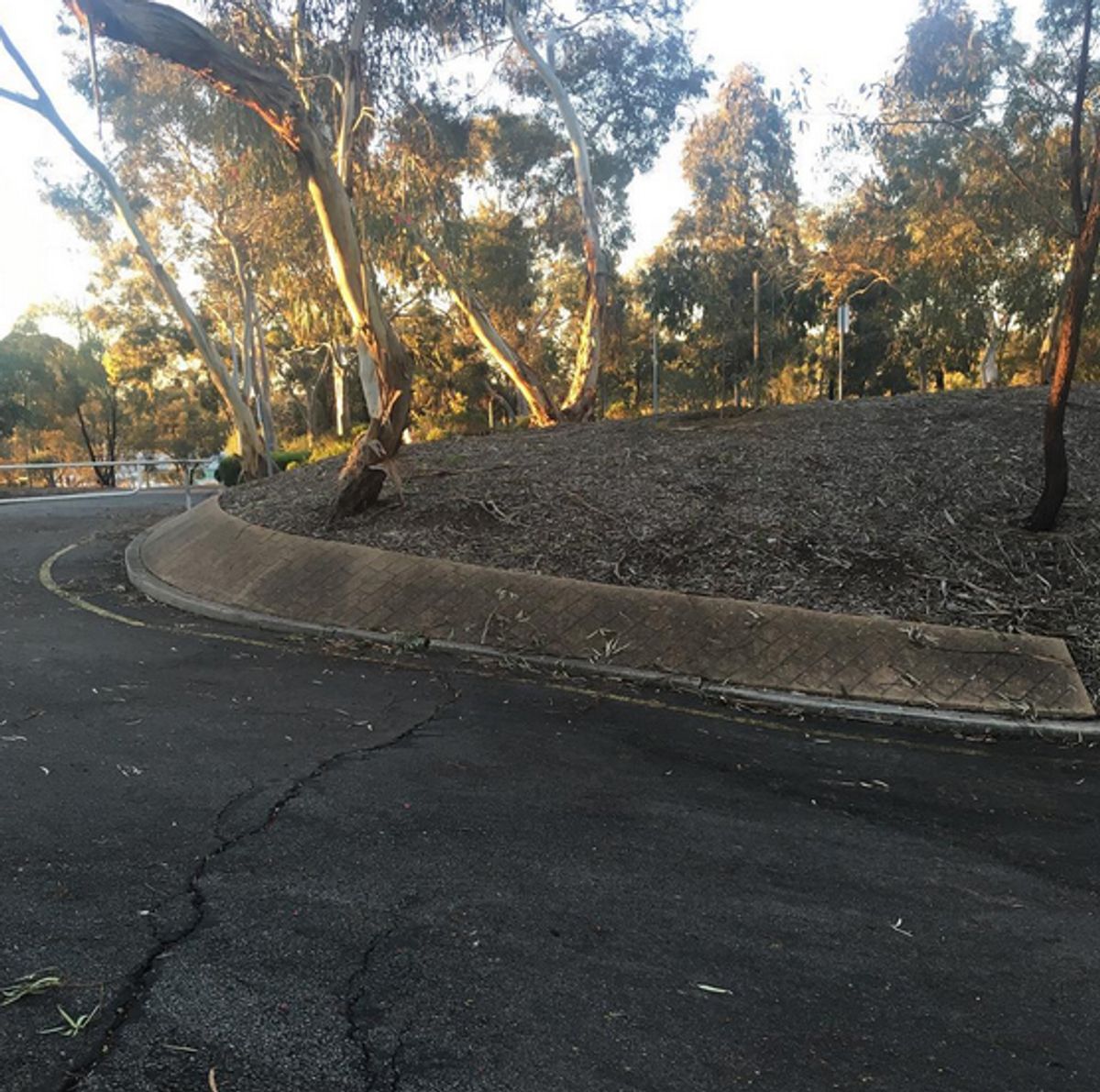 Stockade Gardens Bank skate spot