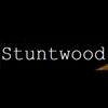 Stuntwood Skate Shop