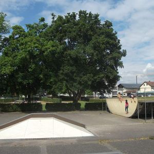 Taningen Skatpark