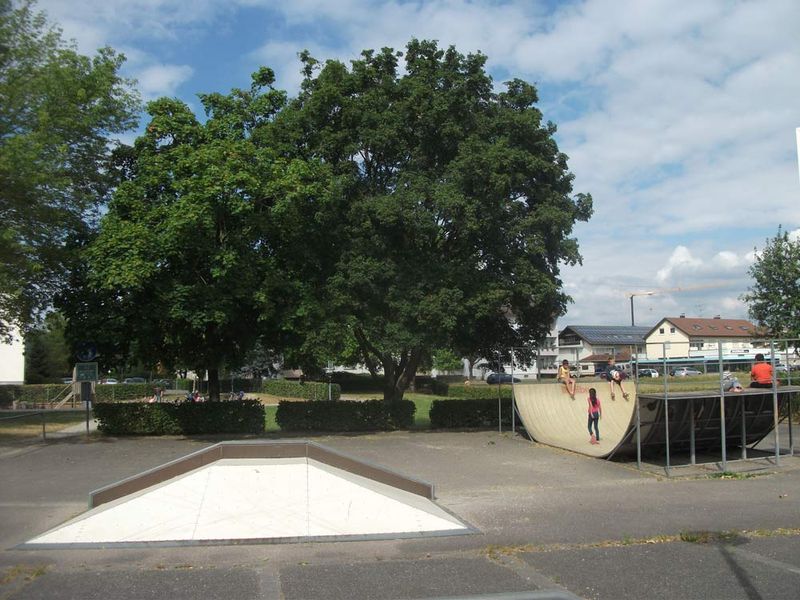 Taningen Skatpark