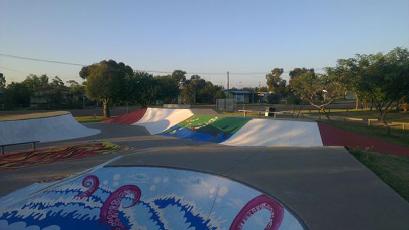 Tara Skatepark