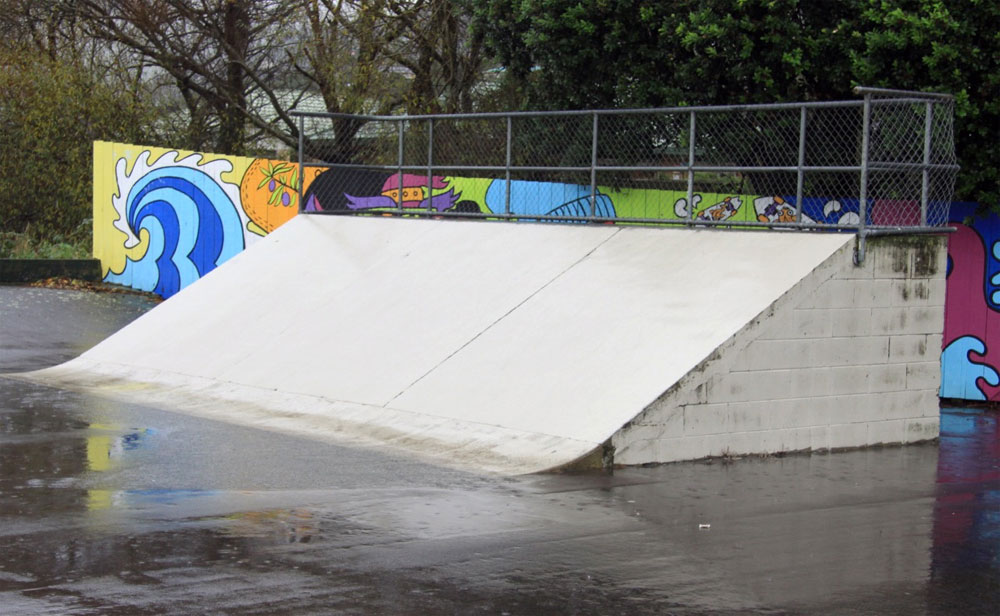 Tawa Skatepark 