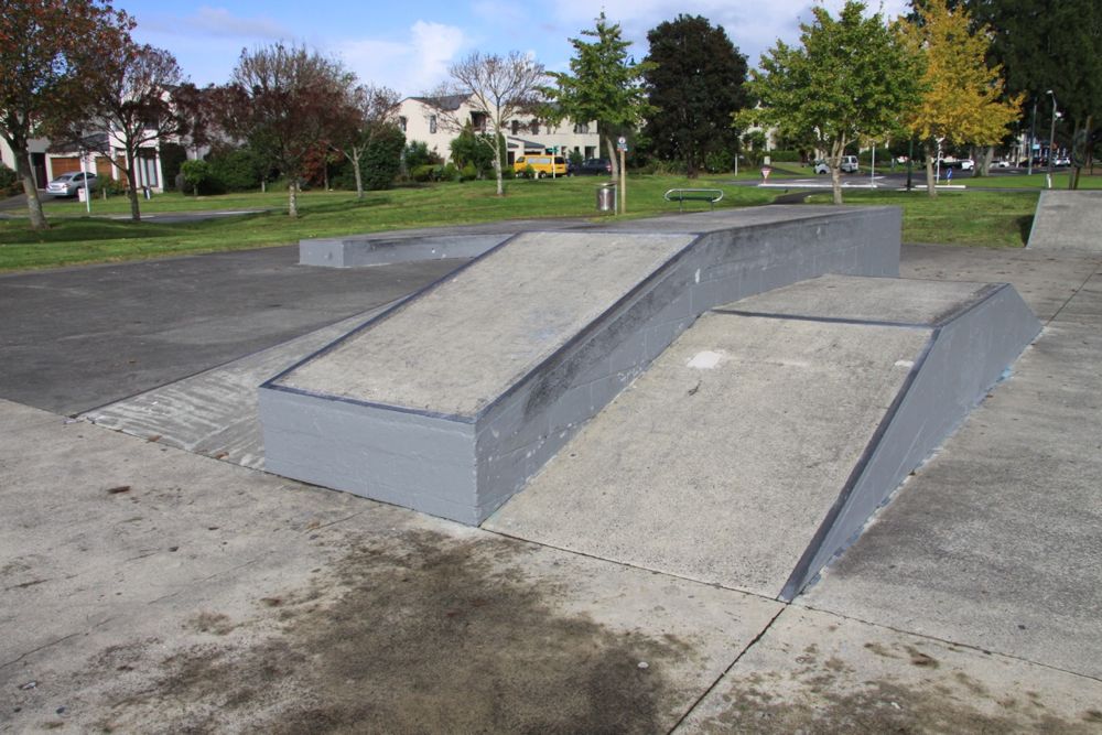 Te Atatu Skatepark