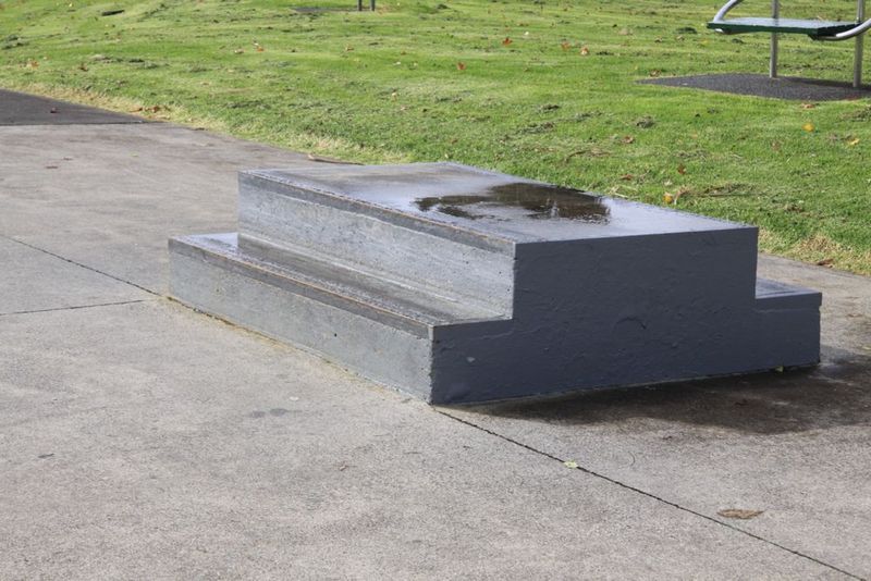 Te Atatu Skatepark