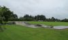 Te Kowhai Skatepark
