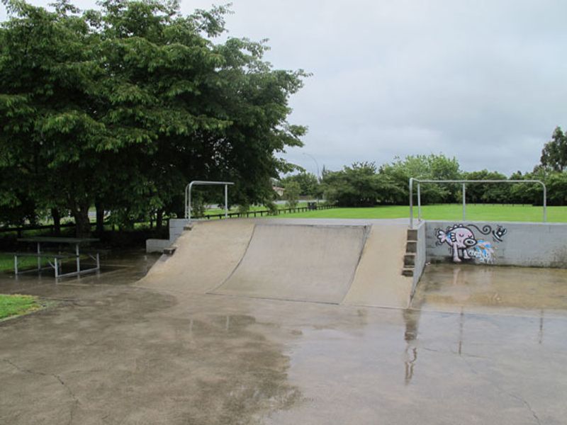 Te Kowhai Skatepark