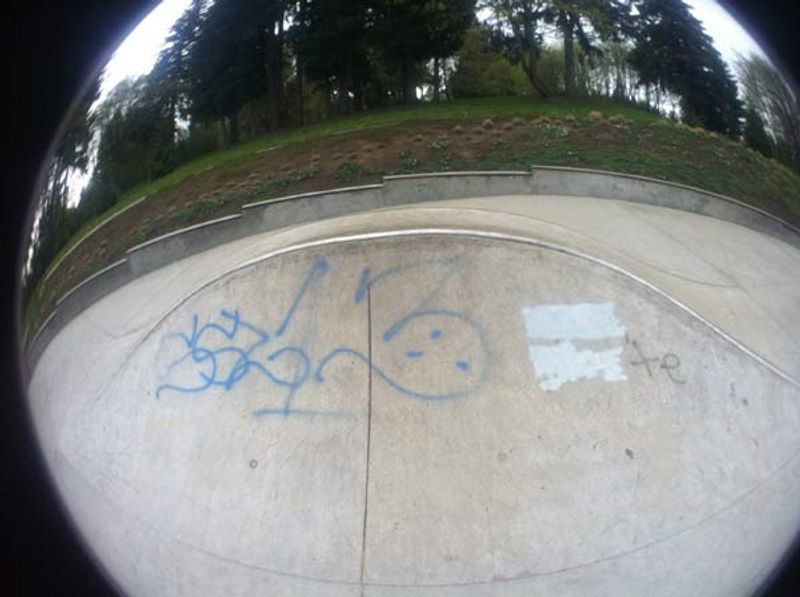 Tenny Creek Skatepark