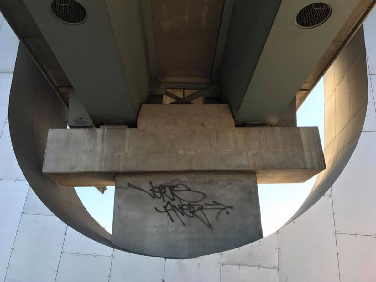 The Egg skate spot