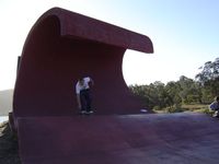 The Wave