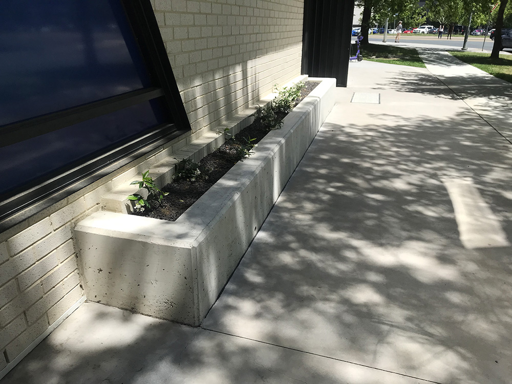 Torrens St Ledge 