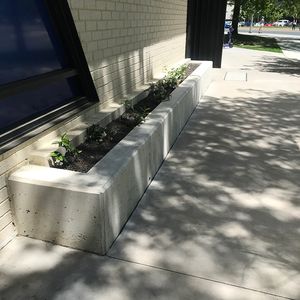 Torrens St Ledge 