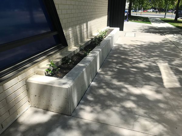 Torrens St Ledge